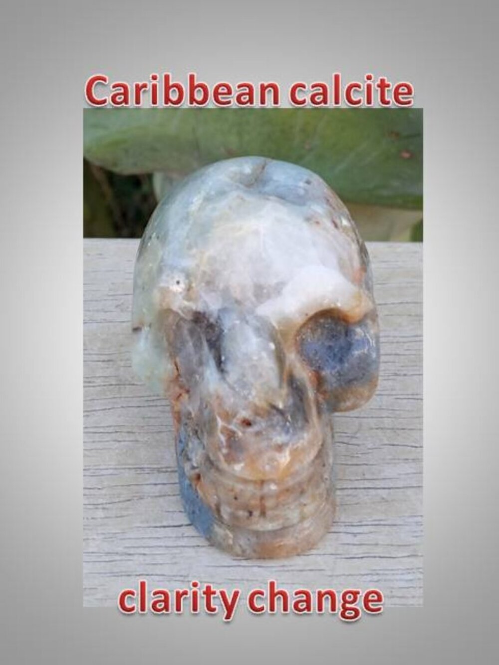 Caribbean calcite skull Clarity Change Memory